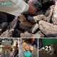 Lamz.Desperate Whimpers: Stranded in a Boulder Maze, the Pleading Pup Calls Out for Aid