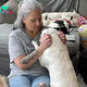 tl.Woman Turns Home Into Pet Hospice And Cares For 80 Elderly Dogs At Once