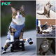 STK.  Adorable, Disabled Cat Inspires With Joyful Spirit and Infectious Charm.