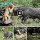 Watch as Buffaloes Trample Old Lion