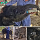 Global Outpouring of Support for Malnourished Baby Elephant’s Survival