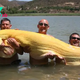 S16 What a whopper! Angler enters record books after catching EIGHT FOOT albino catfish S16