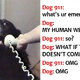 21 Hysterical Reasons Why Dogs Would Call 911, If A Helpline Existed For Doggos
