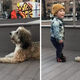 LG Baby Abby’s First Encounter with Dog Emily Creates Heartwarming Scene on the Street, Touching the Hearts of Many.