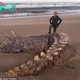 SR .The enigmatic marine creature’s skeletal remains, brought ashore by Storm Ciara, puzzle residents of a Scottish beach. SR