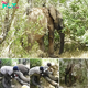 Rescuing a Lone Elephant: A Remarkable Encounter in Loldaiga Wildlife Conservancy