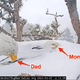 FS Heartwarming pair of eagle parents took turns covering and warming their eggs to protect them from the California storm
