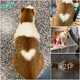 “Discover Rutile: The Gorgeous American Ginger Cat with a Heart Mark, on a Quest for a Forever Family to Share Love and Affection.”Sw
