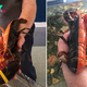 SY  Rare Gem Found: Two-Toned Lobster Uncovered in Maine, One in 50 Million Discovery