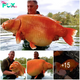Why You Shouldn’t Dump Your Pets: Record-Breaking Giant Goldfish Caught, Weighing Up to 50kg