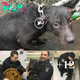 Policeman Adopts Abandoned Dog He Saved In The Rain