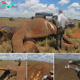 Resilient Elephant Bull Overcomes Dual Arrow Wounds: A Tale of Heroic Triumph