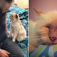 A 17-Year-Old Abandoned Cat Was Now Adopted And Can’t Express Her Gratitude Enough