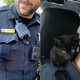 Police Officer Rescues Tiny Black Kitten From Jeep Engine