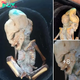 Verdict Revealed: Scientists Analyze ‘Humanoid Creature’ Discovery Amid Speculation of Extraterrestrial Origin