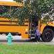 This Cat Puts Safety First And Walks His Human To Her School Bus Each Morning