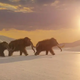 Woolly mammoth de-extinction inches closer after elephant stem cell breakthrough