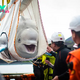 Aww The Beluga whale happily shed tears when rescued after a circus performance that melted everyone’s heart.