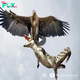 The super eagle accurately targets the underwater target, catches the giant crocodile with its sharp claws, then lifts it into the sky and brings it back to its nest.