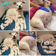 tl.A resilient mama dog left alone in front of our shelter at just 9 weeks pregnant, triumphantly gave birth to a heartwarming litter of 14 adorable little puppies!