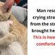 14 Photos Proving That Cats Are Better Than People