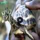 The lucky guy was able to catch the turtle but it had the head and neck of a giraffe, how strange!