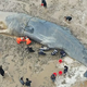rin 20-Hour-Long Rescue Mission Saves Life Of Stranded Whale Weighing 10 Tons
