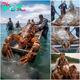 SA. “Jaw-Dropping Discovery: Fishermen Amazed by Enormous Object Caught in Nets, Unveiling a Puzzle of Uncharted Origins.”.SA