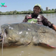 World record 9ft 4¼in fish is caught in Italian river after a 43-minute struggle.  .SB