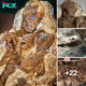 Archaeologists discover 4,800-year old skeletons of a mother nursing her child