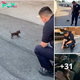Lamz.Finding Forever Homes: Heartfelt Journey of a Stray Pup and a Police Officer’s Compassionate Bond