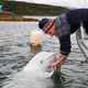 SH.”A Dolphin’s Gratitude: Heartwarming Encounter as Rescued Marine Mammal Returns to Shore to Thank its Rescuer”.SH