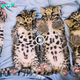 Lamz.Unlikely Companions: Clouded Leopard and Fishing Cat Kitten Forge Heartwarming Friendship (Video)