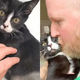 Kindhearted Man Risks His Marriage For A Stray Three-Legged Cat