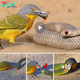 The Snake’s Last Journey: A brave bird challenges all limits when attacking a snake twice its size and the ending is surprising (Video)