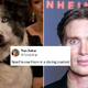 Oscars 2024: Best Memes And Reactions from Twitter (X)