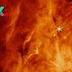 James Webb telescope spots organic molecules swirling around unborn stars, hinting at origins of Earth-like worlds