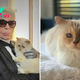 Did You Know Karl Lagerfeld Wanted To Leave Everything To His Cat Choupette?