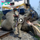 Any Help! Come Together to Save Elephants Trapped on the Railway from 6pm Until Late