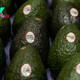 Avocadoes are big business for surprising group: Mexican drug cartels 
