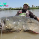 /5.World record 9ft 4¼in fish is caught in Italian river after a 43-minute struggle