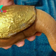 f.The special “elephant snail” has a shell made of gold, a body containing many pearls and weighs more than 3kg.f
