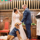 “Return to the big day: Lost dog reunites on owner’s wedding day after 2 years of absence”
