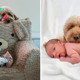 “Family Moments: Dog Participates in Newborn Baby’s First Photo Session – Unforgettable Adorable Images”