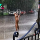 SAU.”Incredible and Joyful: My Beloved Dog Plays in the Rain Like a Baby”.SAU