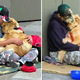 “A Ray of Hope on the Streets: A Heartwarming Story of Love and Empathy Between a Dog and its Homeless Owner”