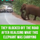 They blocked off the road after realizing what this elephant was carrying with its trunk