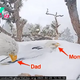 be.Family bonding image: Two eagle parents take turns covering their eggs with snow to protect them from the California storm