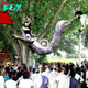 nhatanh. Revealing the mуѕteгіoᴜѕ story: The eternal life of the wish-granting snake in a 250-year-old tree (Video)