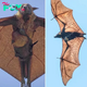 binh. “The Giant Golden-Crowned Flying Fox, known as the largest bat globally, boasts an impressive wingspan and distinctive golden crown, captivating enthusiasts of wildlife and conservation alike.”